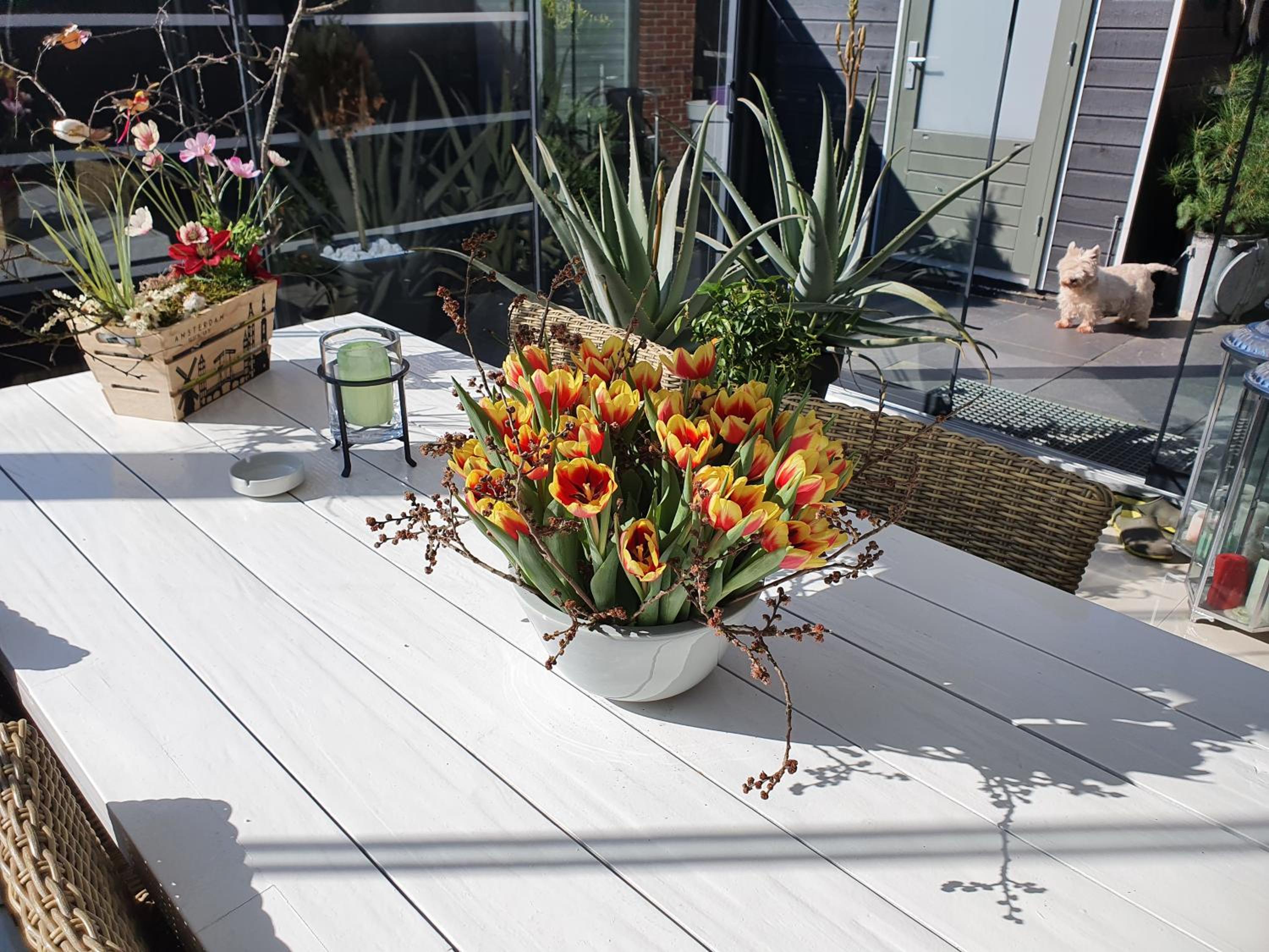 B&B Modern Times photo 5