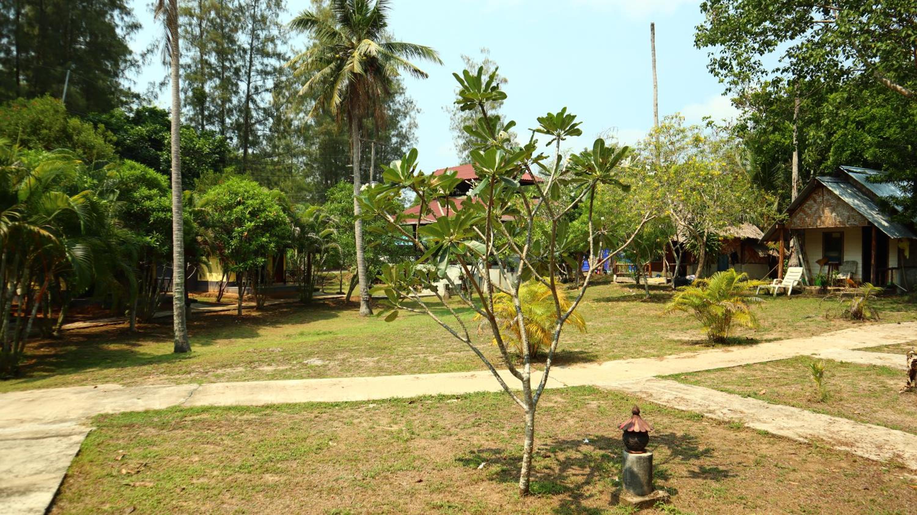 Photo 26