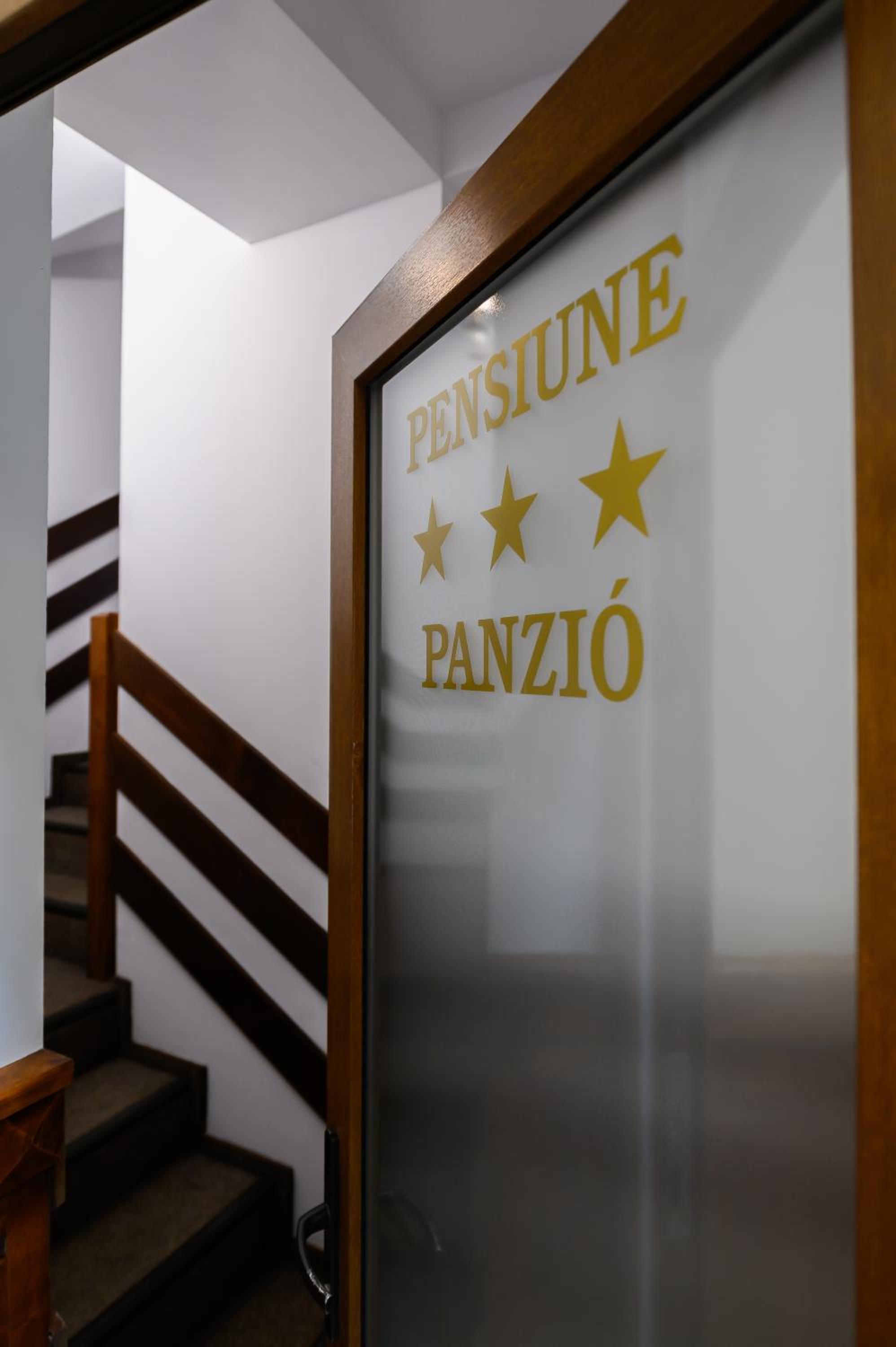 Juliu's Panzio Csikszereda view 3