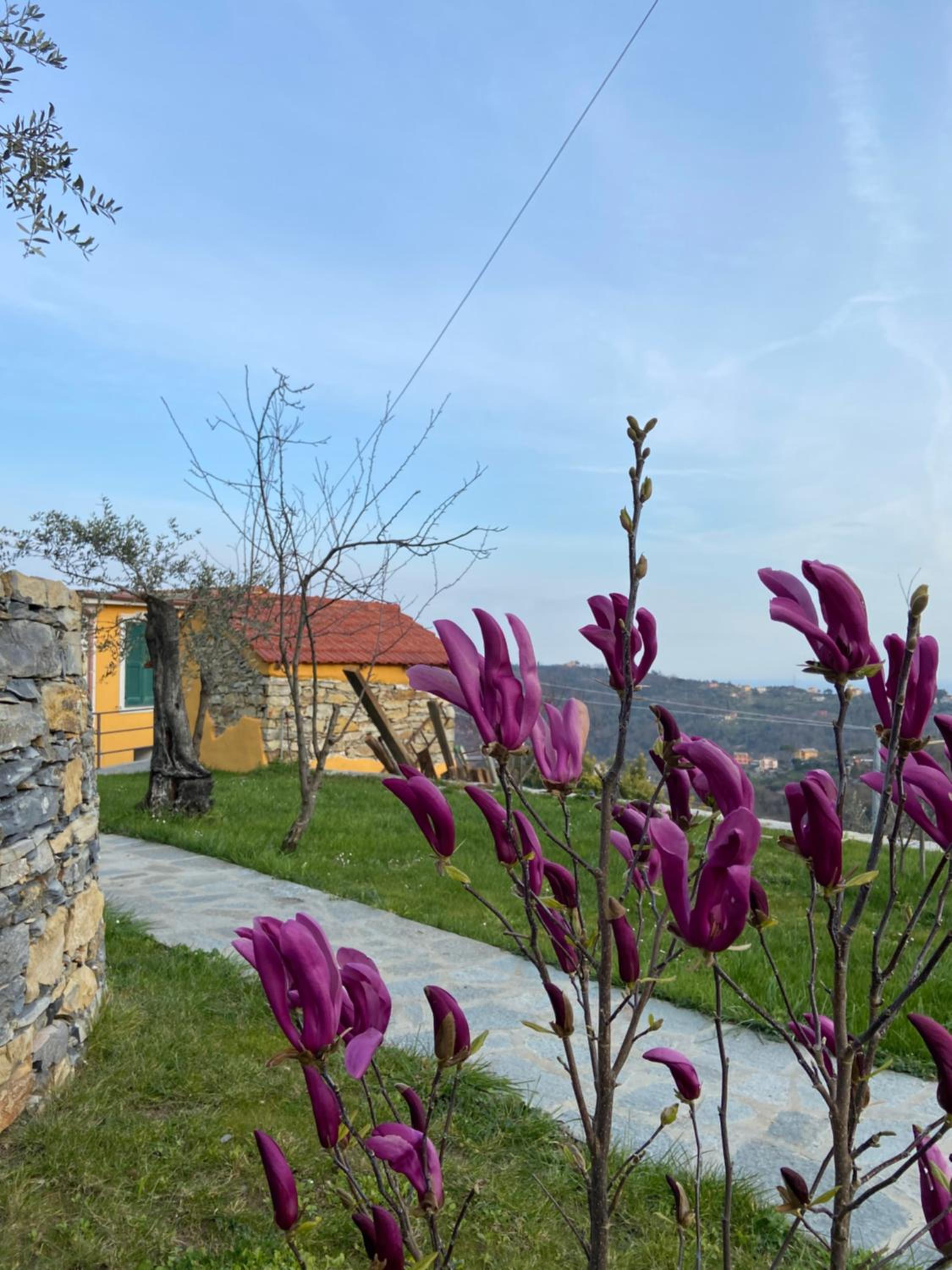 Sunrise Holiday Home photo 5