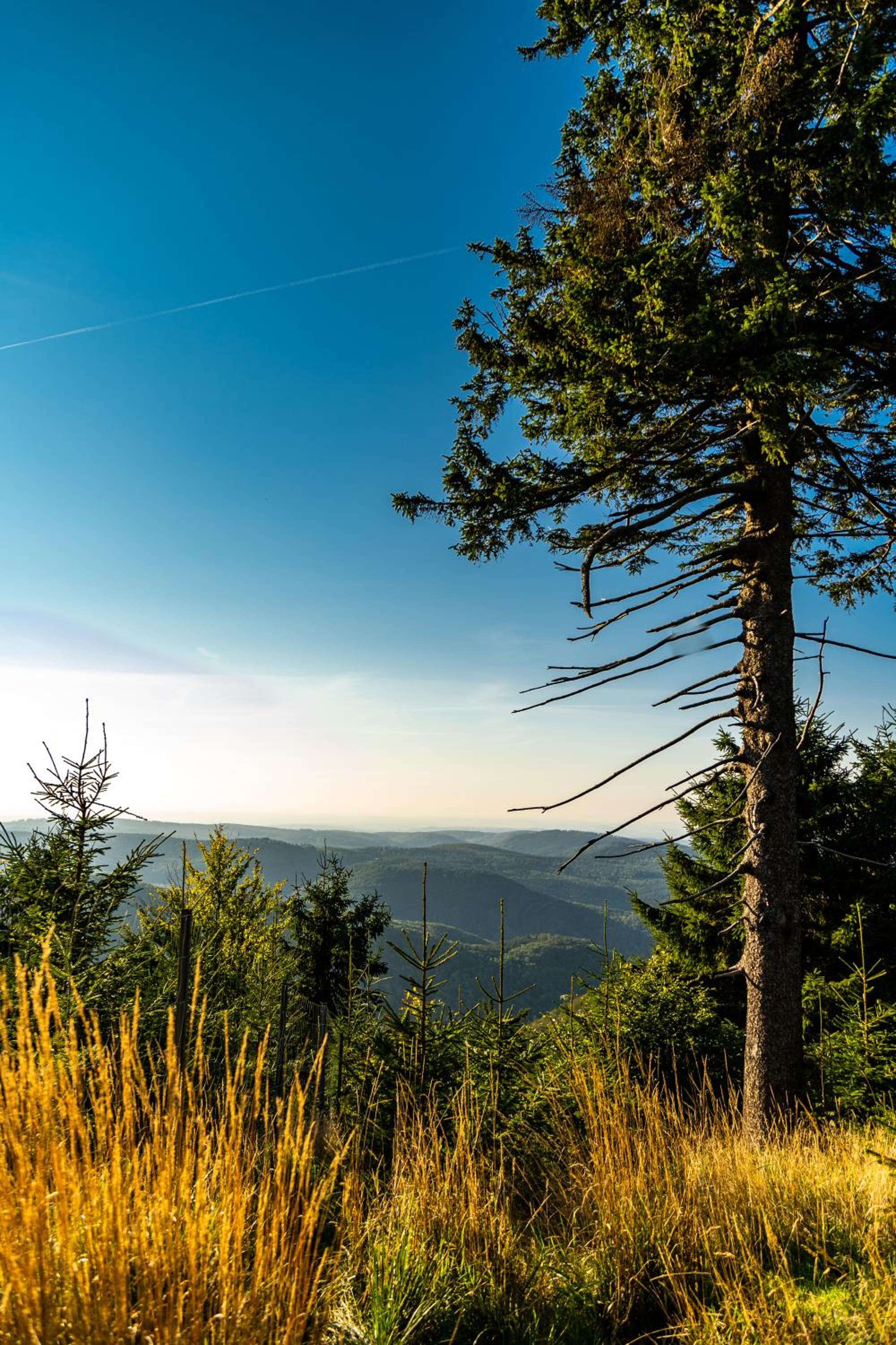 Pfefferstübchen Ferienwohnung Schanzenblick