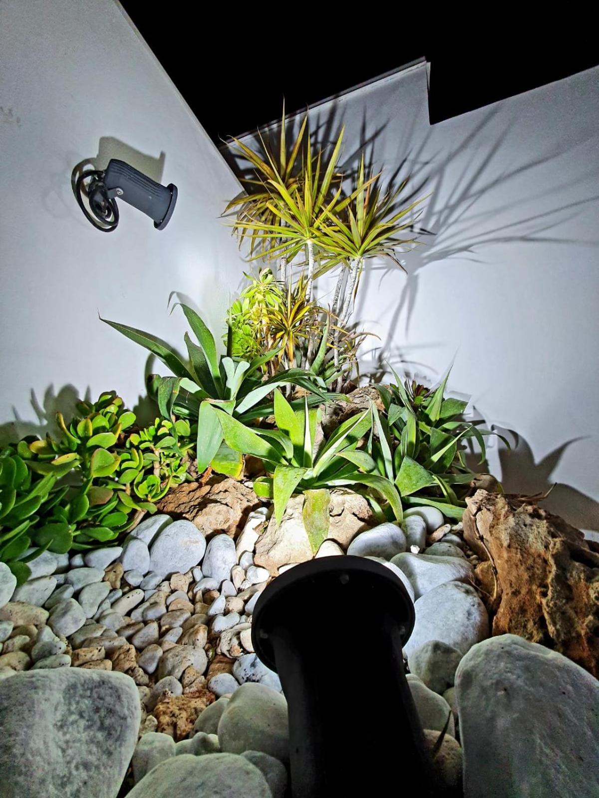 Photo 23
