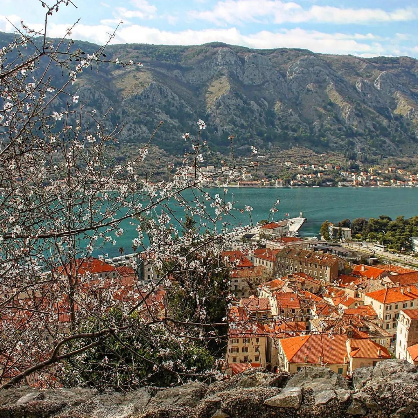 Old town Kotor Square view 2