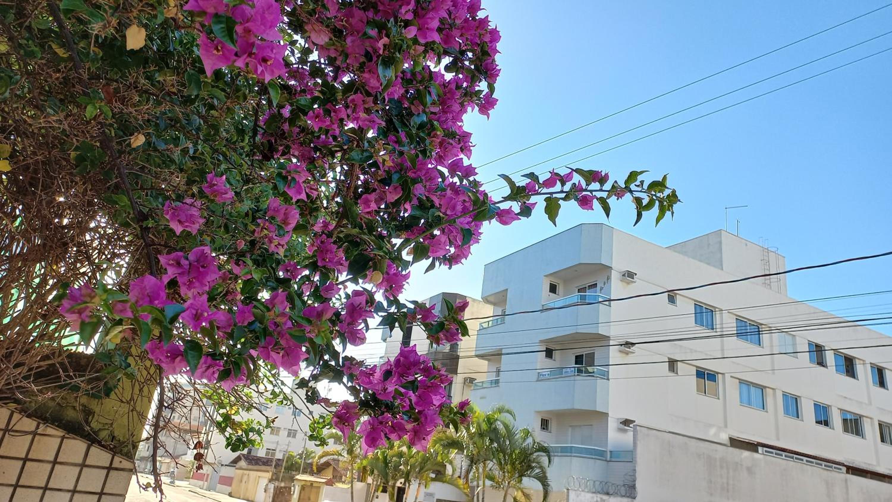 Lindo apartamento com Wi-Fi a 370m da Praia do Morro, próximo ao Marlim Azul e à Av Paris