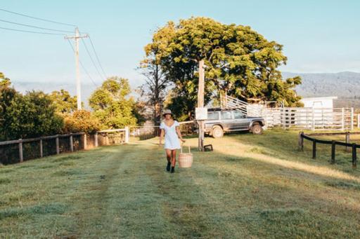 Tiny Home … BIG Views