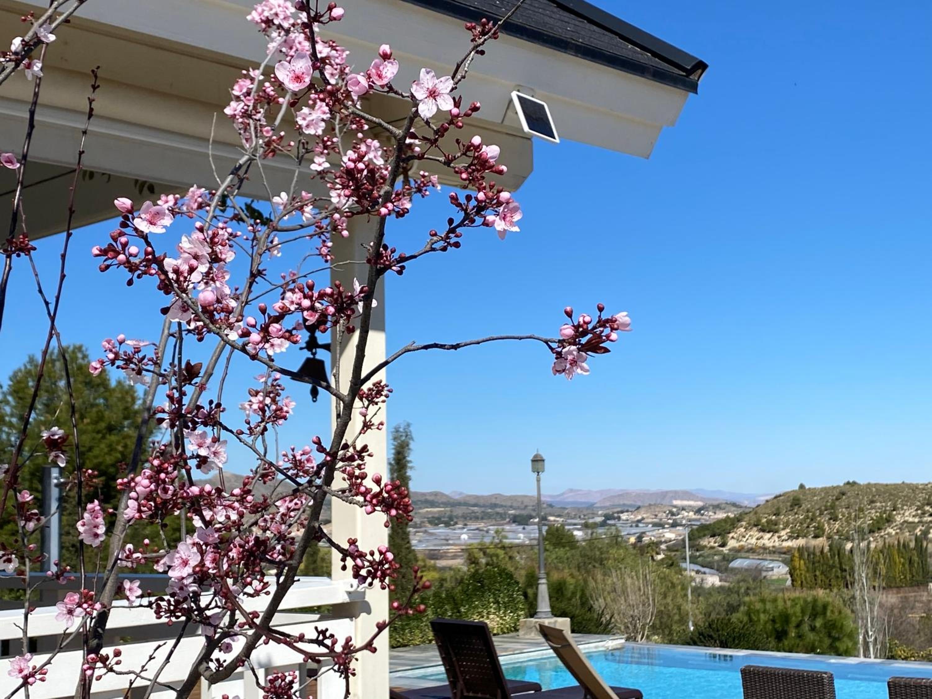 Quinta de Argos view 3