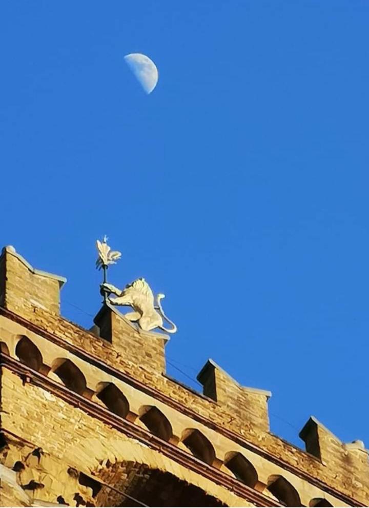 Torre del Marzocco