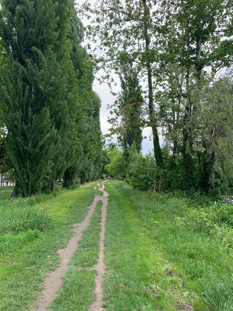 La Villa de Lise, photo 26