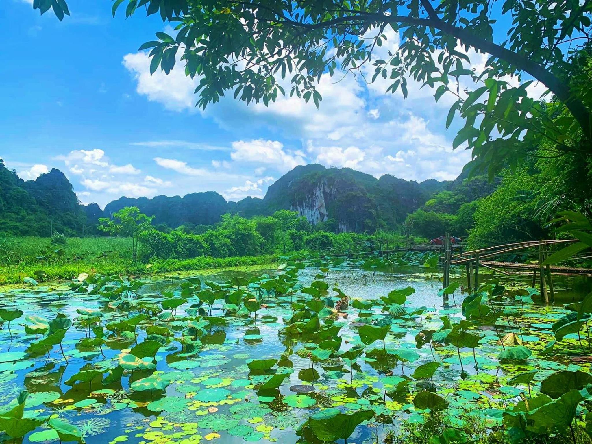 Tam Coc Nature view 5