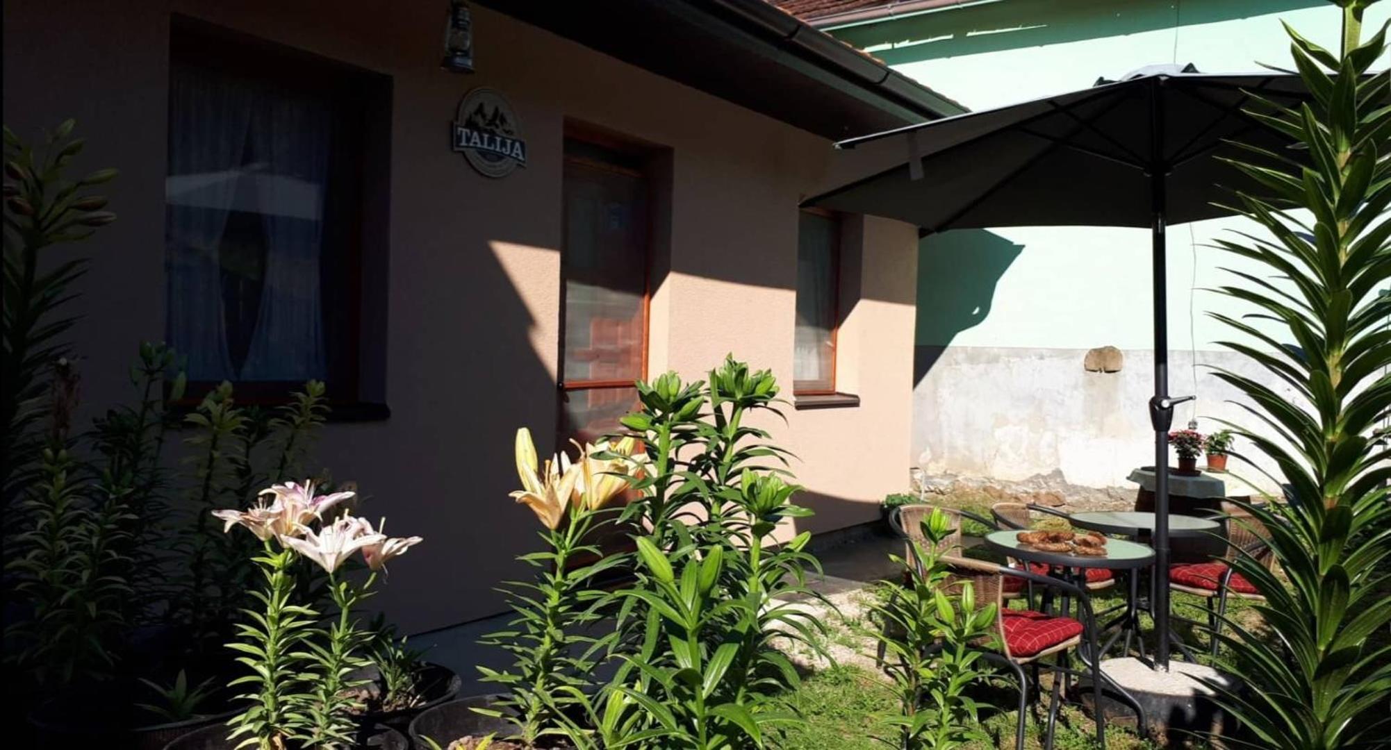 STD Kuća Talija view 2