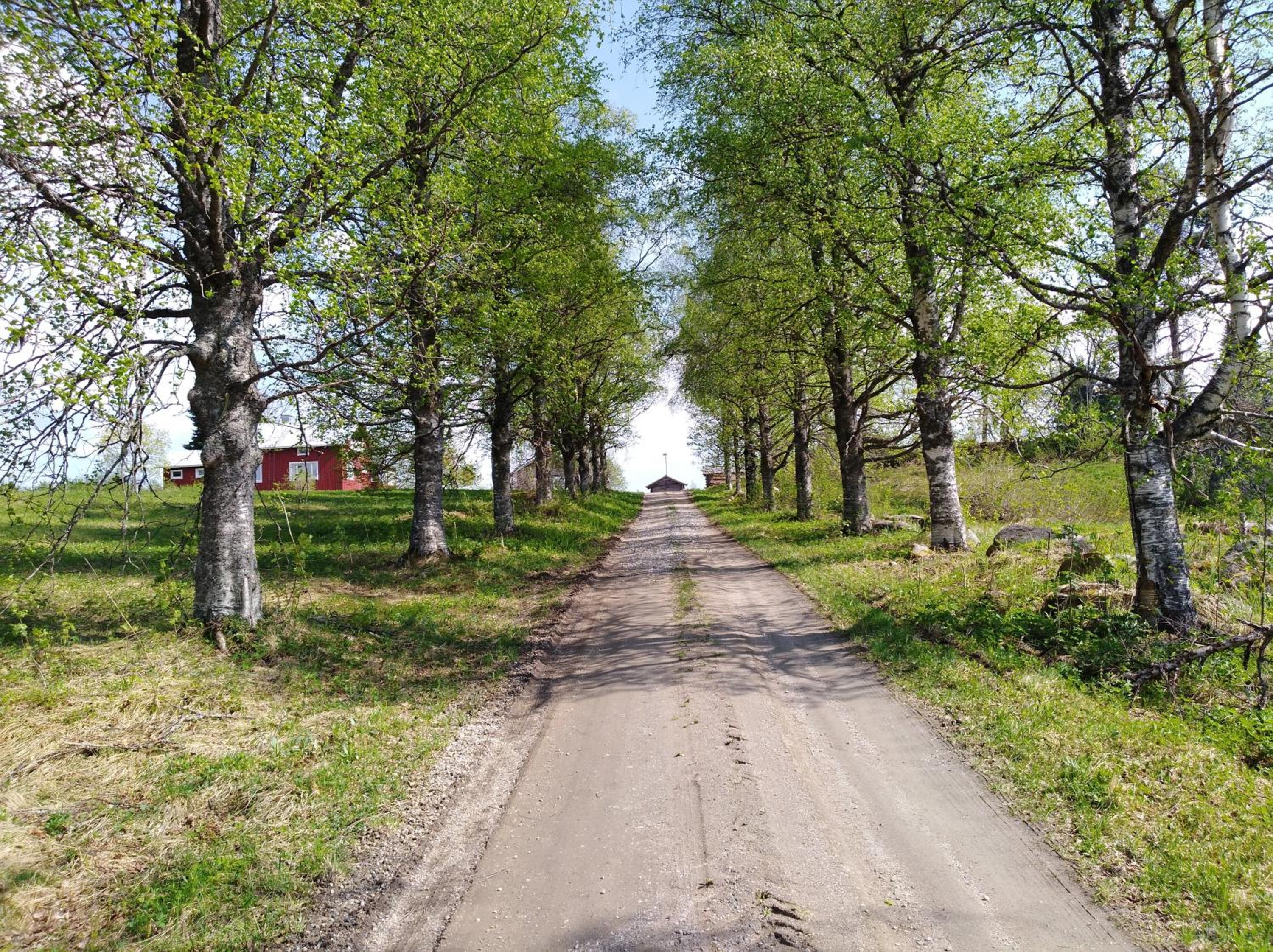 Photo 27