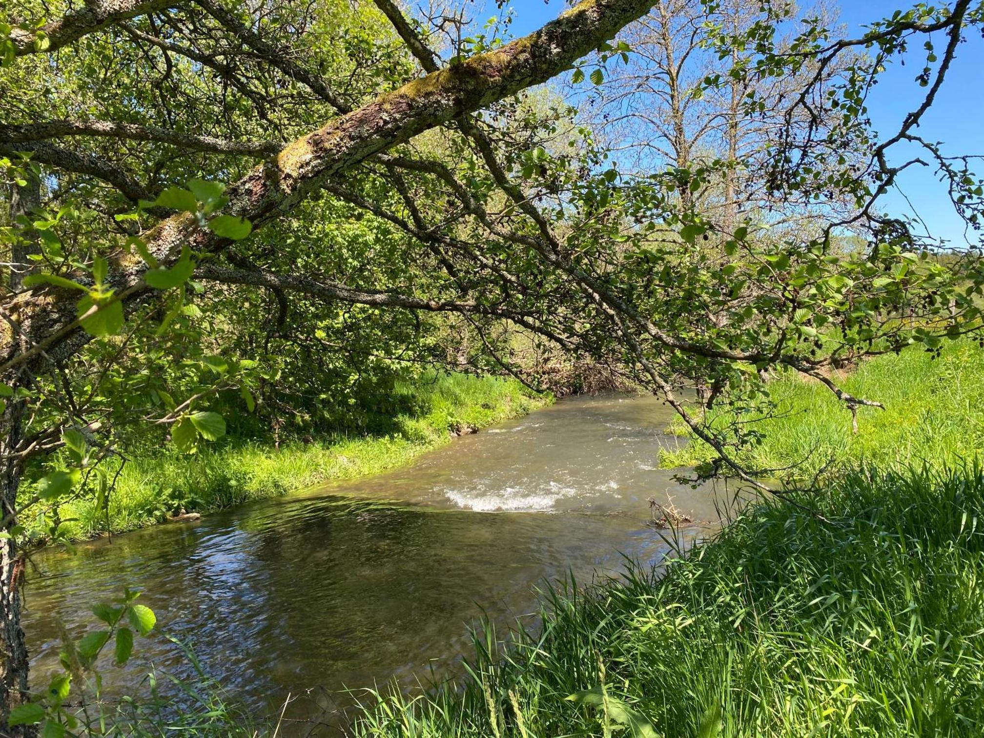Le Héron - Gîte de charme clôturé, accès à la rivière - 6 ou 10 personnes