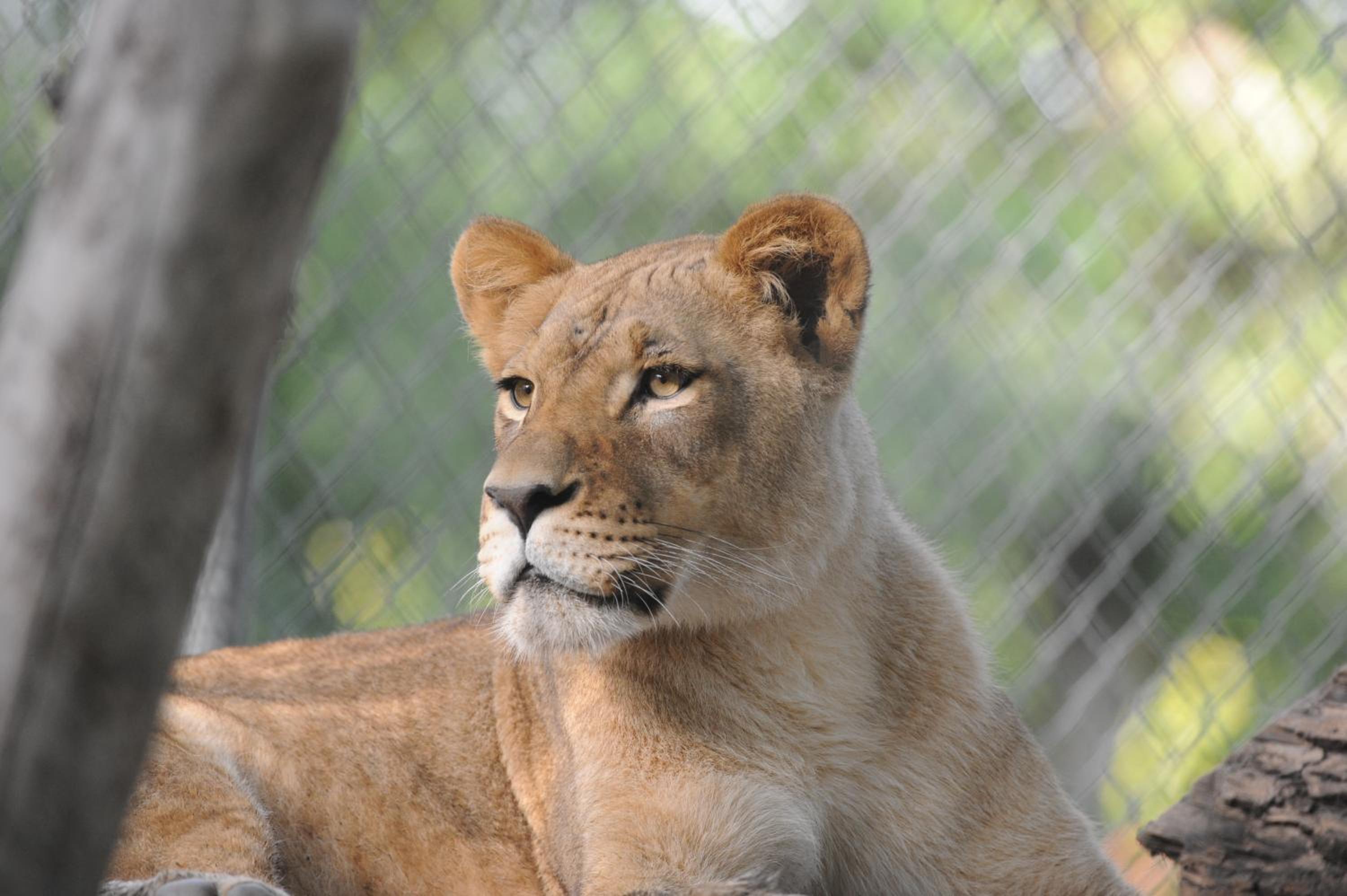 Minot Vacations - Country Inn  Suites by Radisson, Minot, ND - Property Image 18