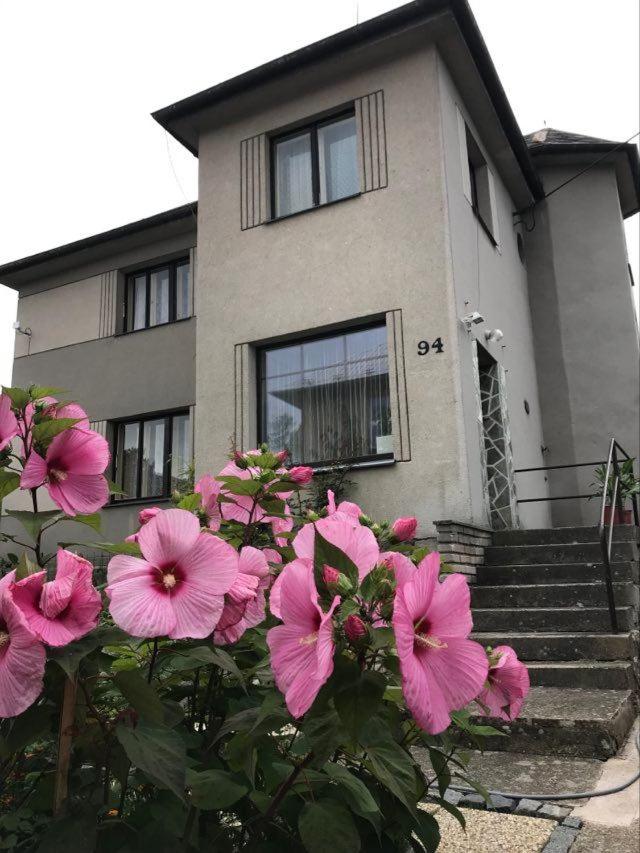Apartman Hruba Skala view 2