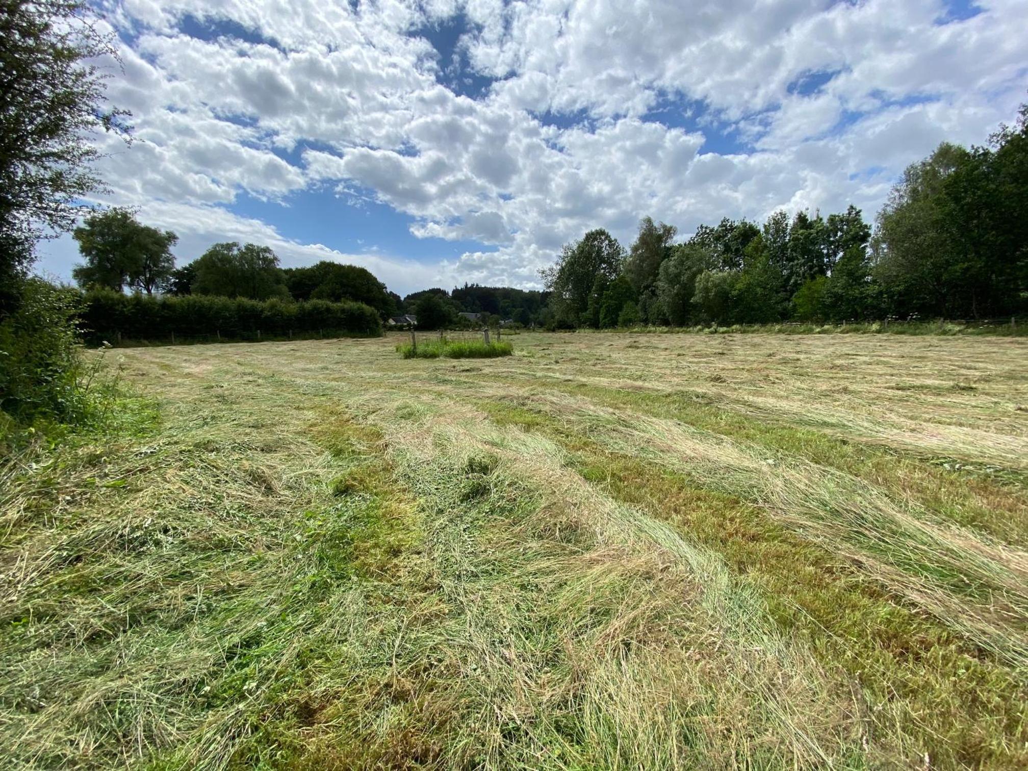 Le Héron - Gîte de charme clôturé, accès à la rivière - 6 ou 10 personnes