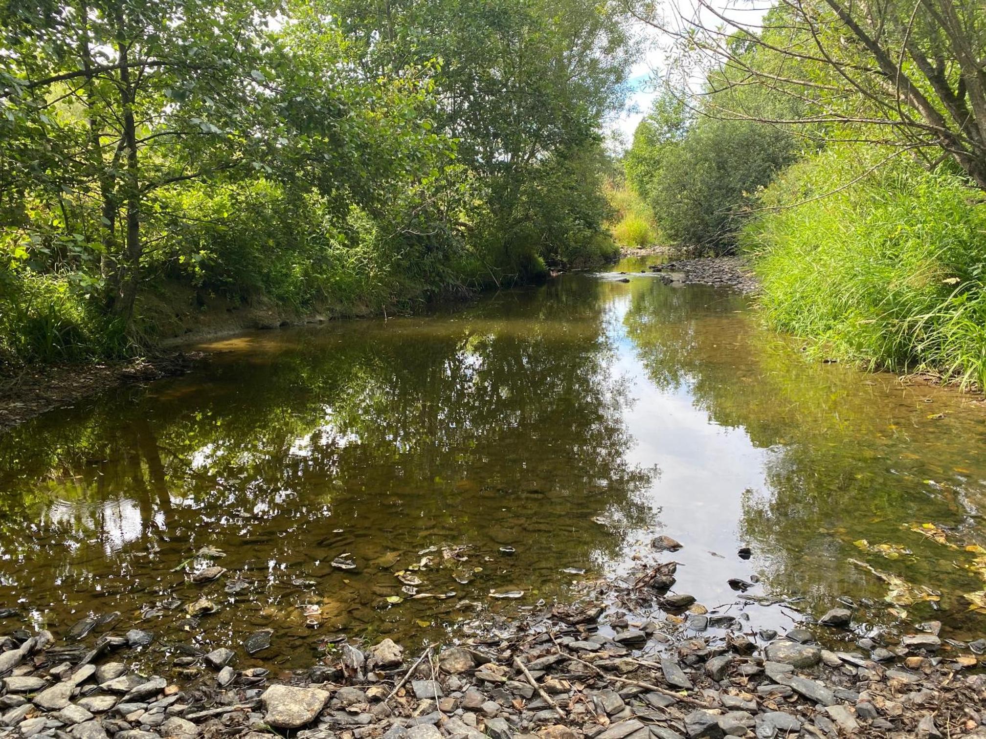 Le Héron - Gîte de charme clôturé, accès à la rivière - 6 ou 10 personnes