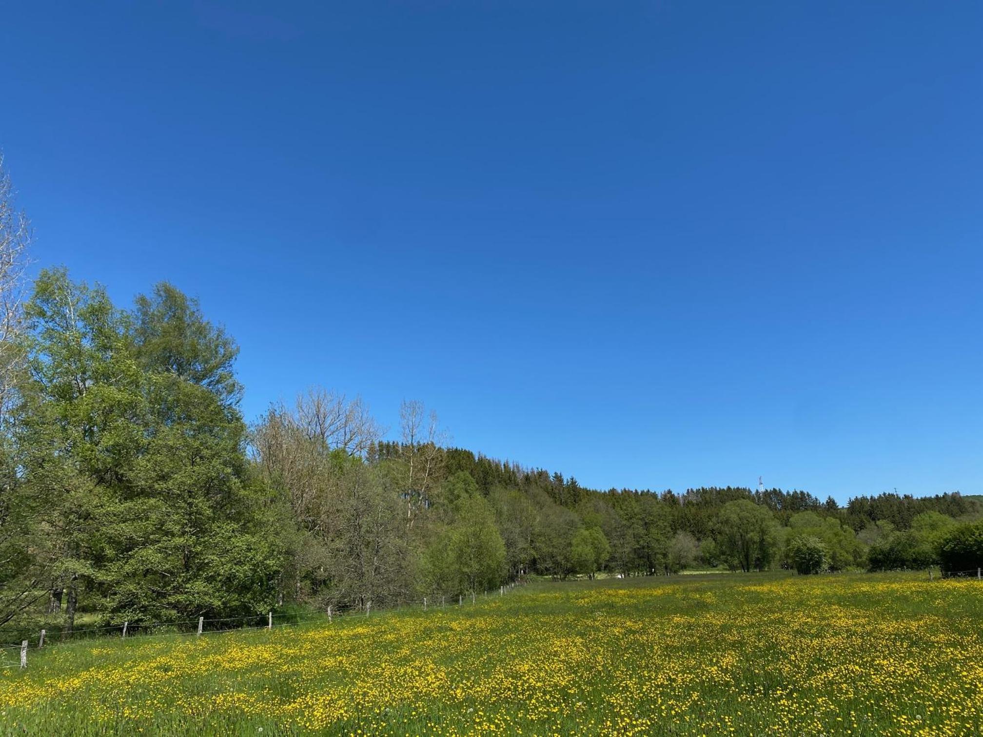 Le Héron - Gîte de charme clôturé, accès à la rivière - 6 ou 10 personnes