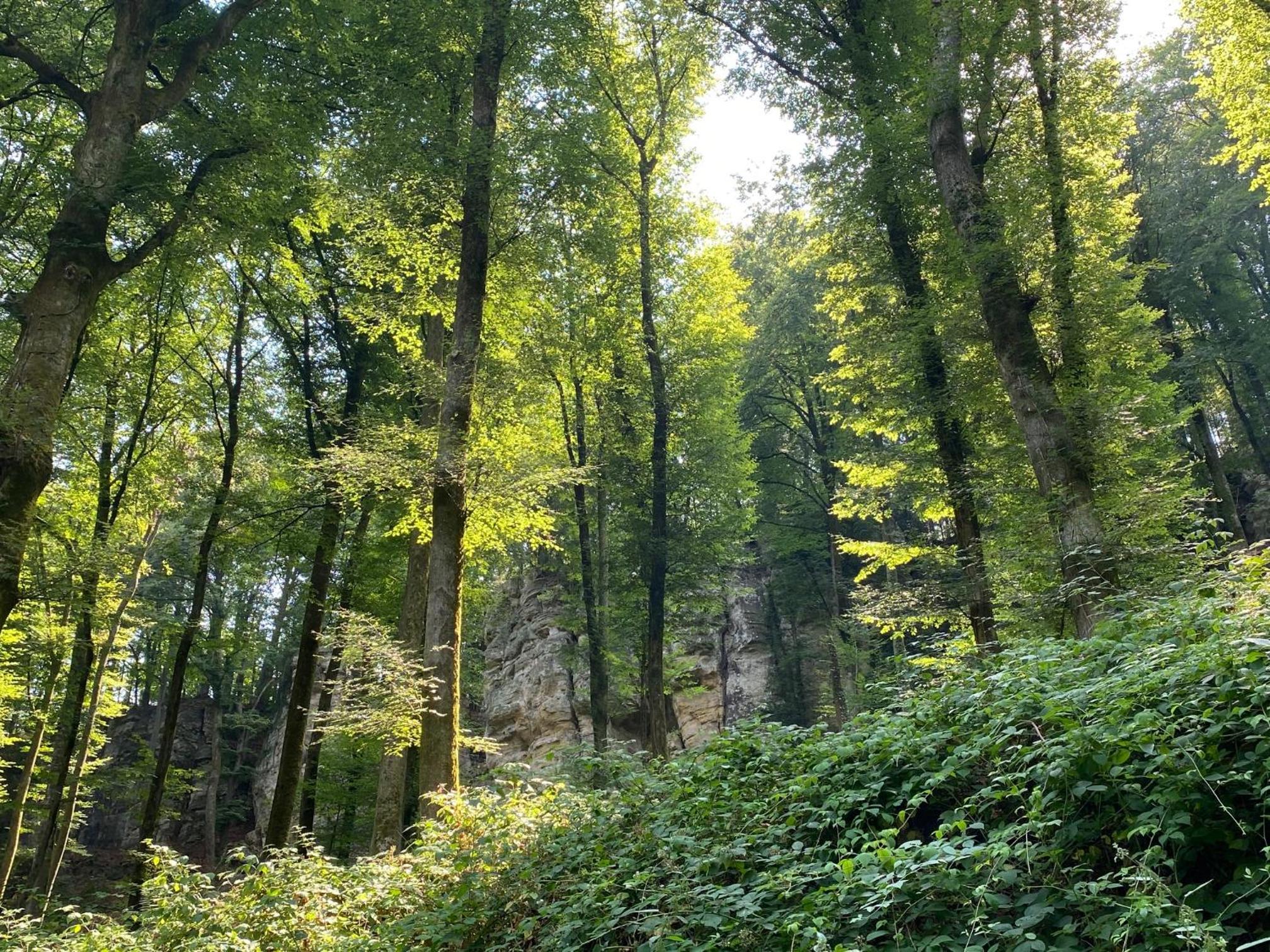 Le Héron - Gîte de charme clôturé, accès à la rivière - 6 ou 10 personnes