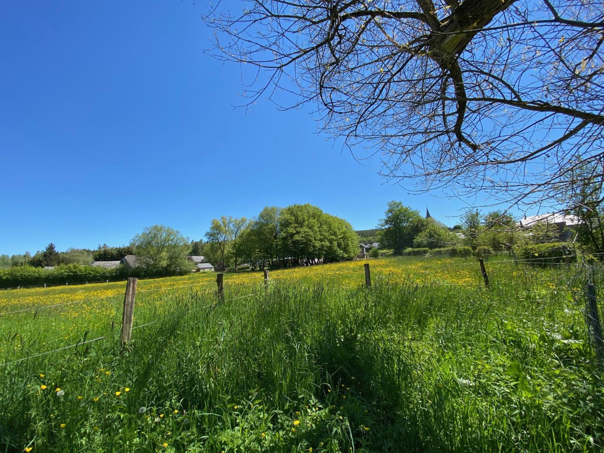 Le Héron - Gîte de charme clôturé, accès à la rivière - 6 ou 10 personnes