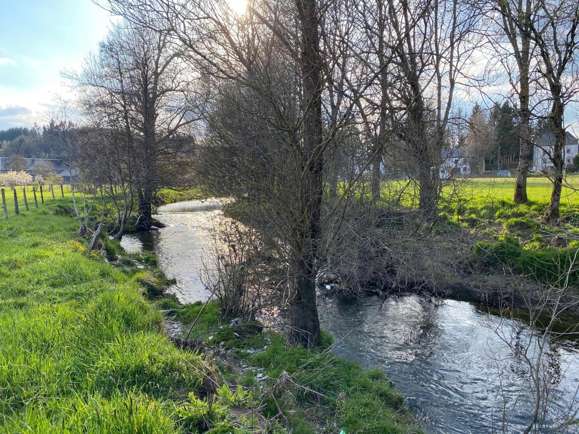 Le Héron - Gîte de charme clôturé, accès à la rivière - 6 ou 10 personnes