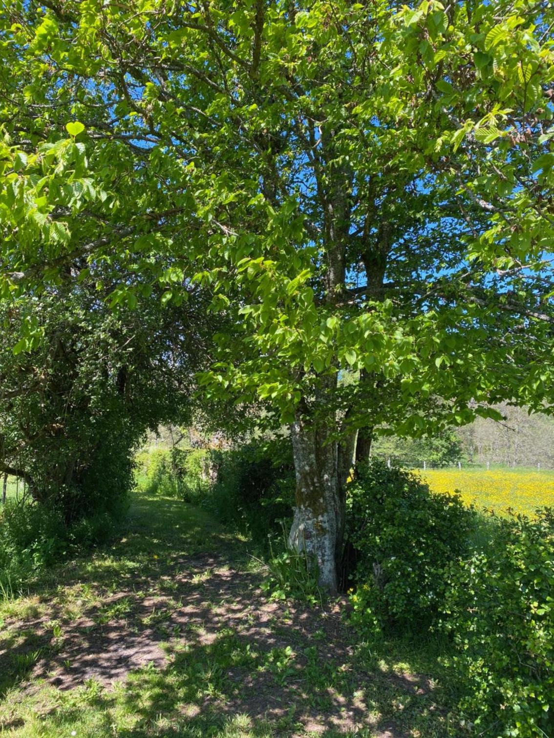 Le Héron - Gîte de charme clôturé, accès à la rivière - 6 ou 10 personnes