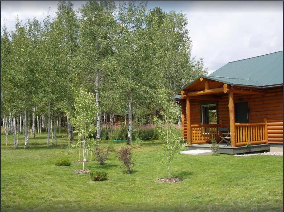 Lazy Fox Cabin view 2