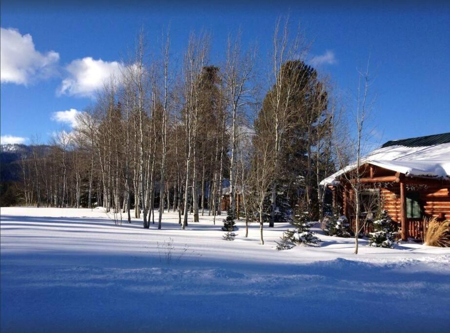 Lazy Fox Cabin view 3