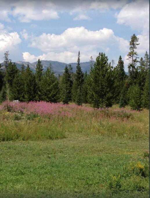 Lazy Fox Cabin view 4