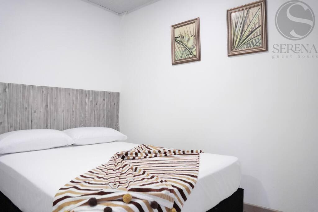 SERENA GUEST HOUSE (PLAYA) view 4