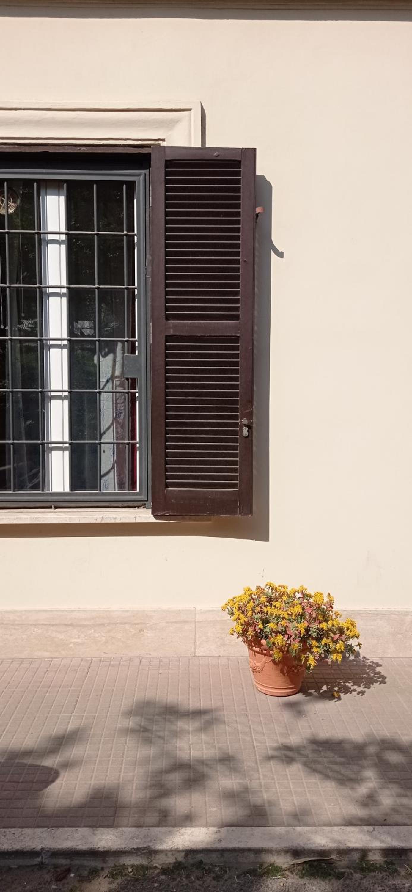 Vatican City San Peter quiet and lovely apartment
