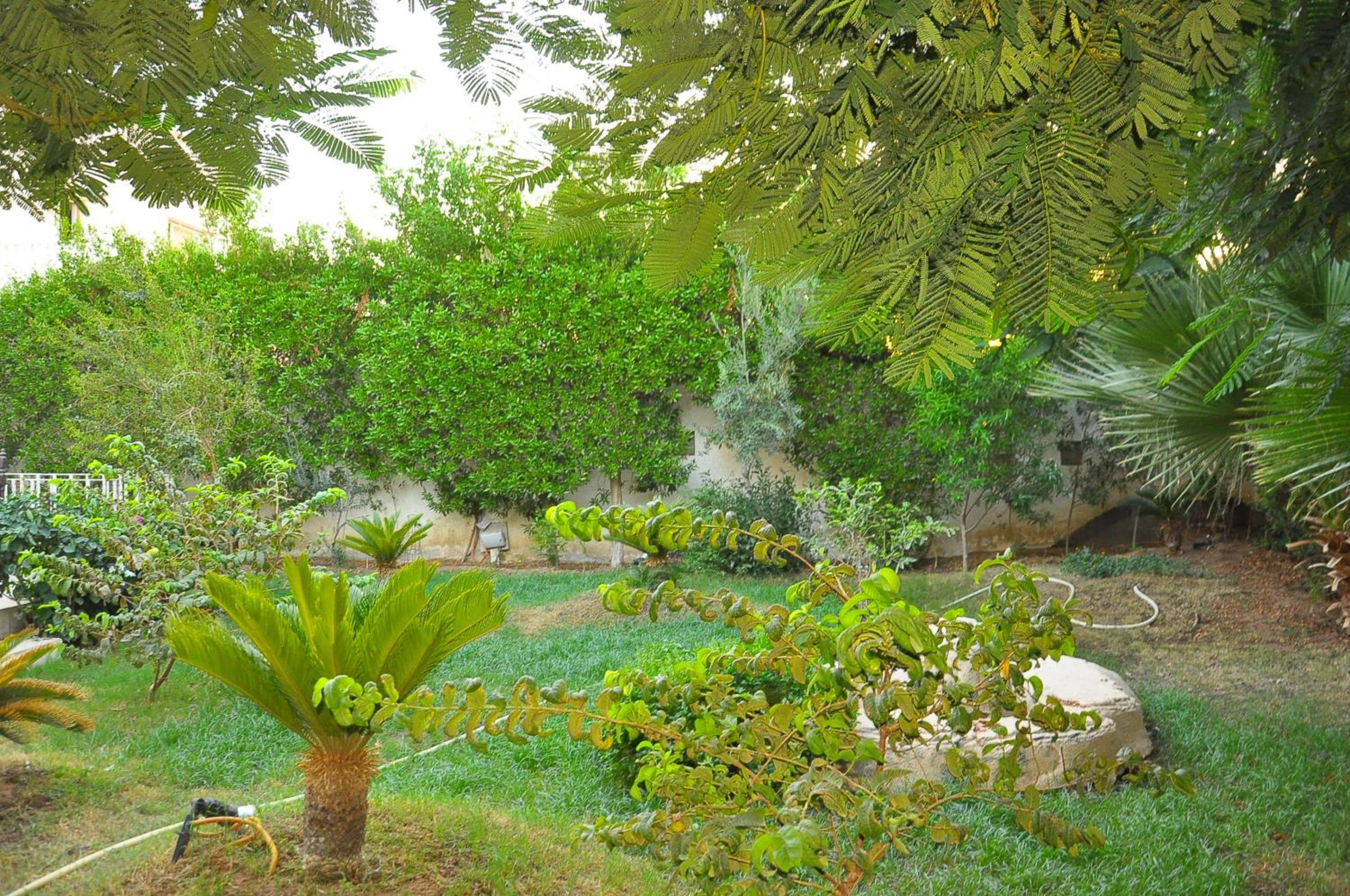 Photo 25