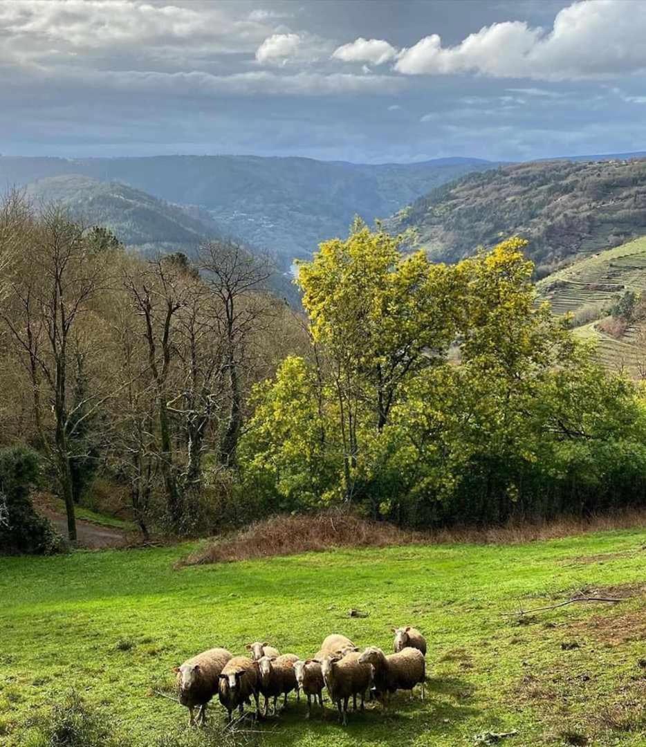 CASA DAS XACIAS, RIBEIRA SACRA