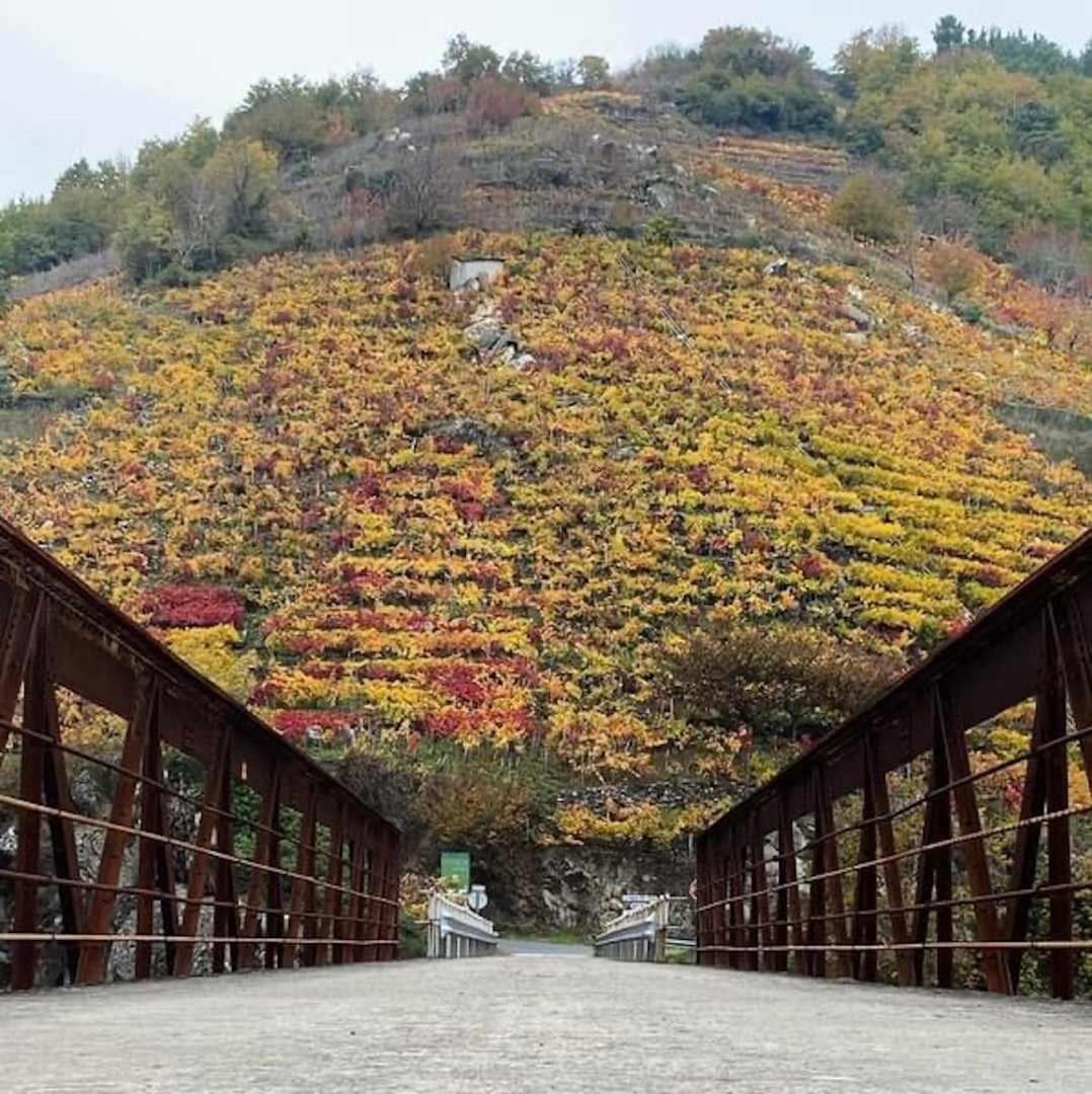 CASA DAS XACIAS, RIBEIRA SACRA