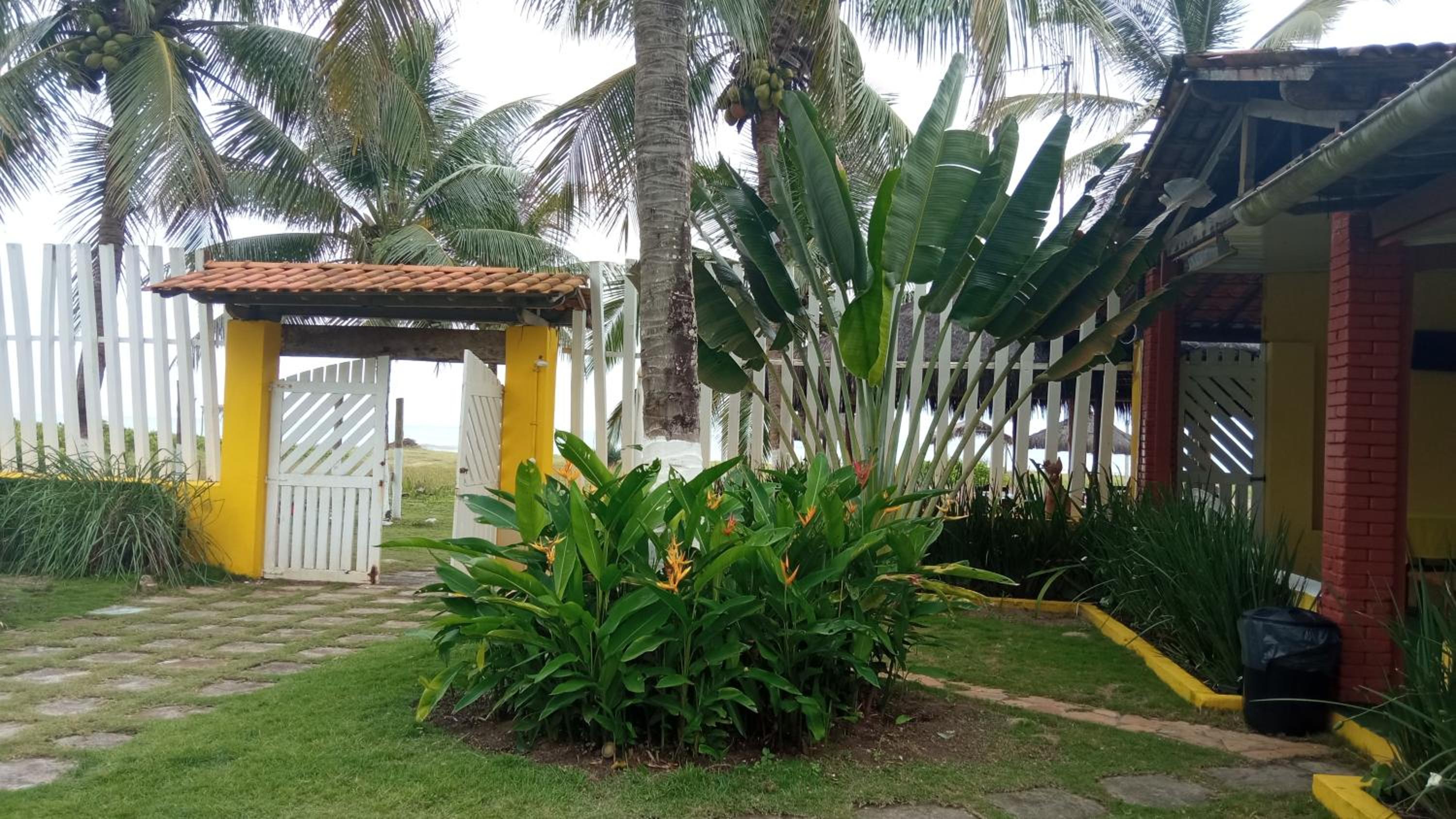 Photo 19