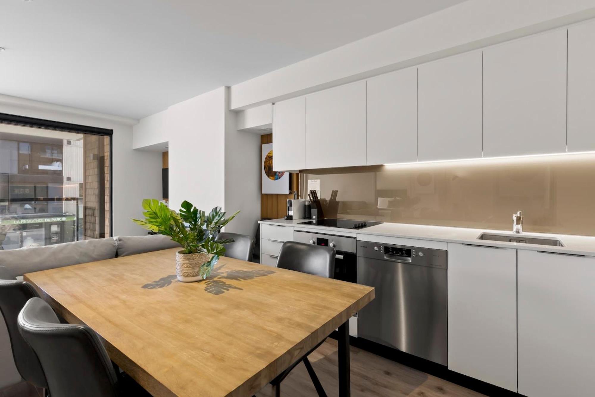 Suki Apartment at the base of Coronet Peak view 2