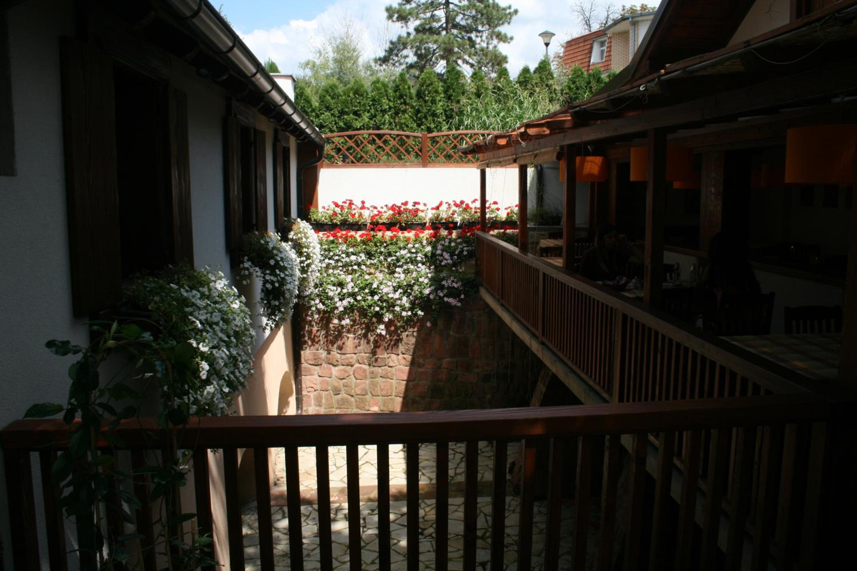 B&B Galerija Two Rooms view 5