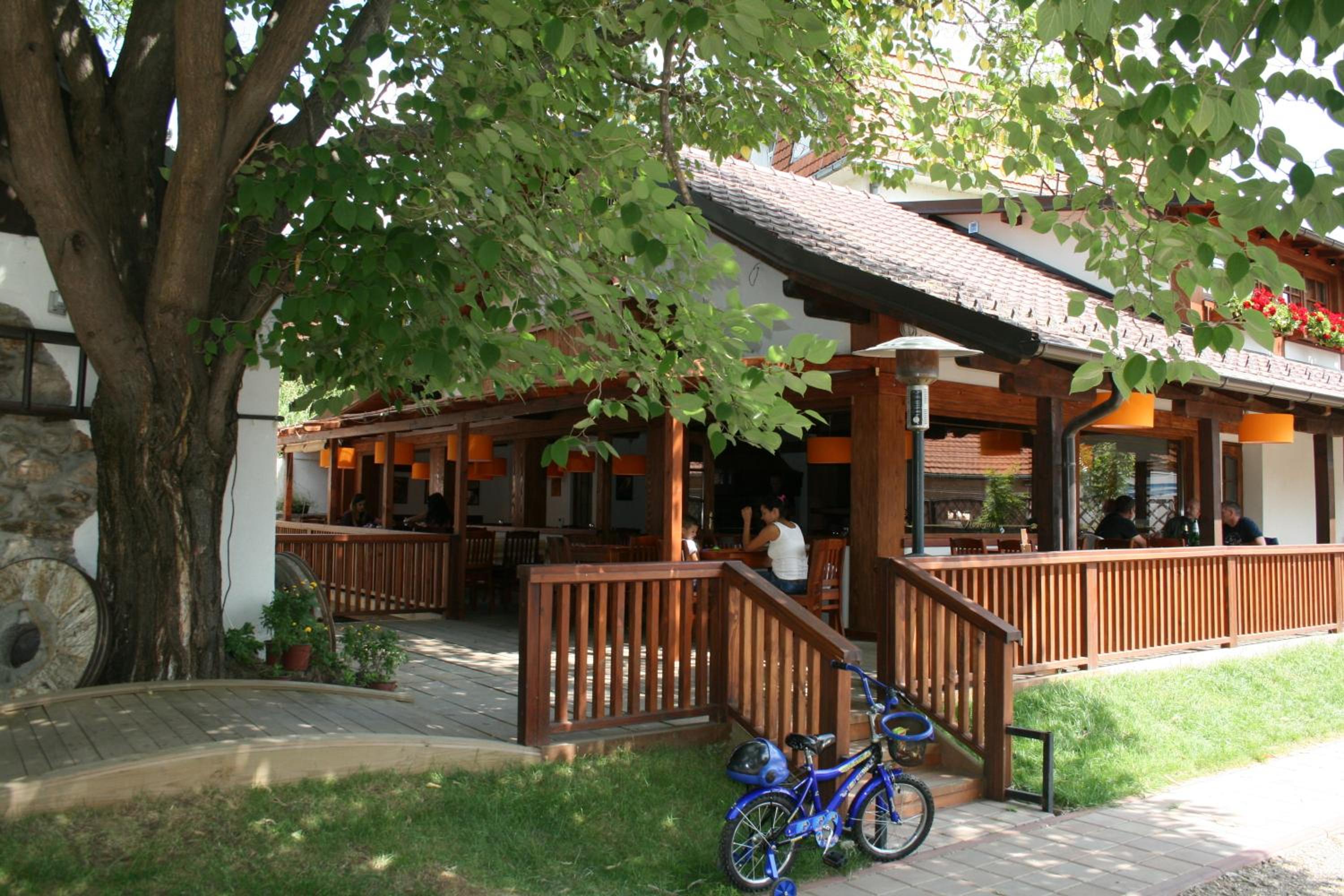 Photo 12
