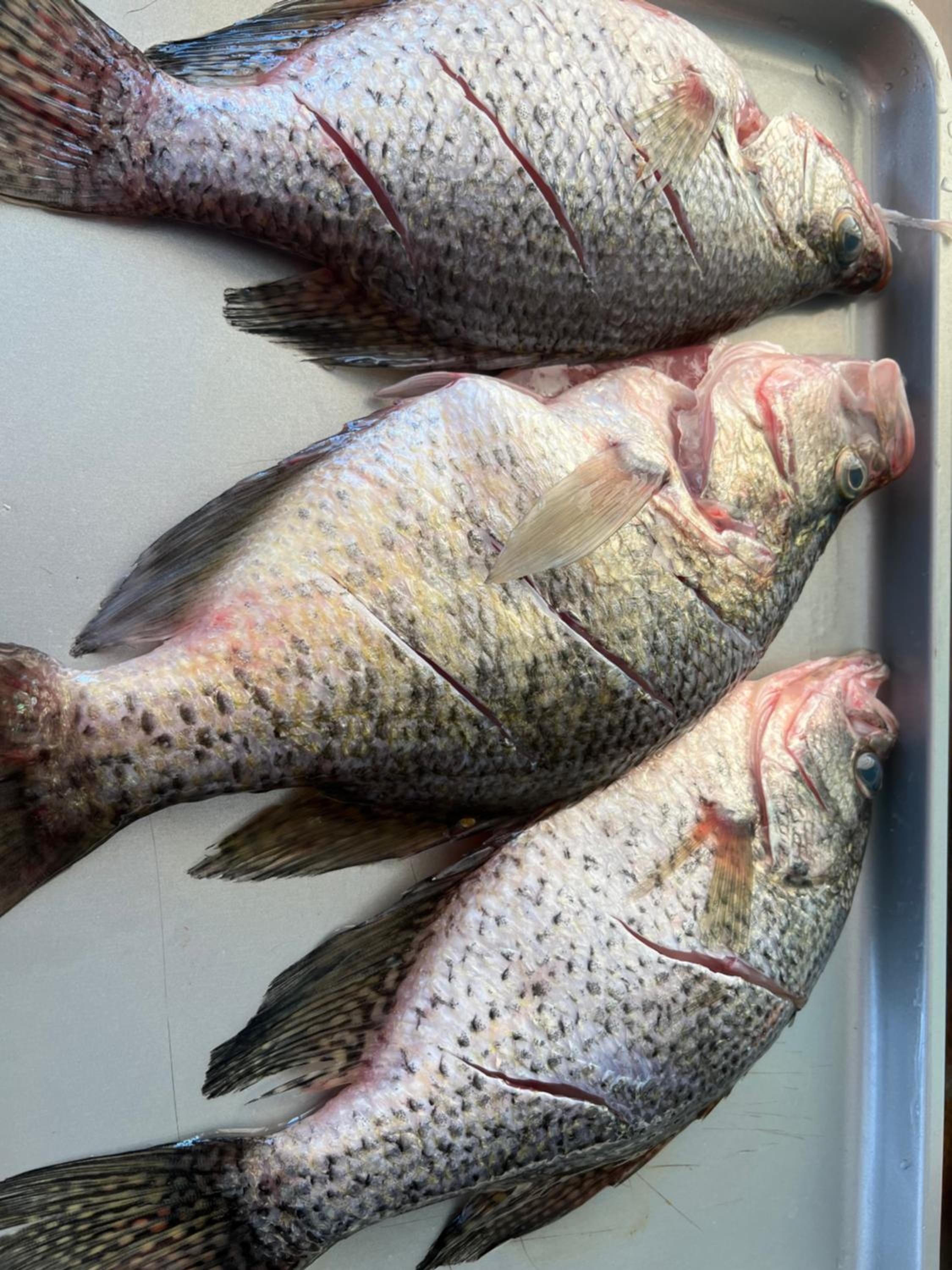 Driftwood Inn and Lodge by the lake - Property Image 42