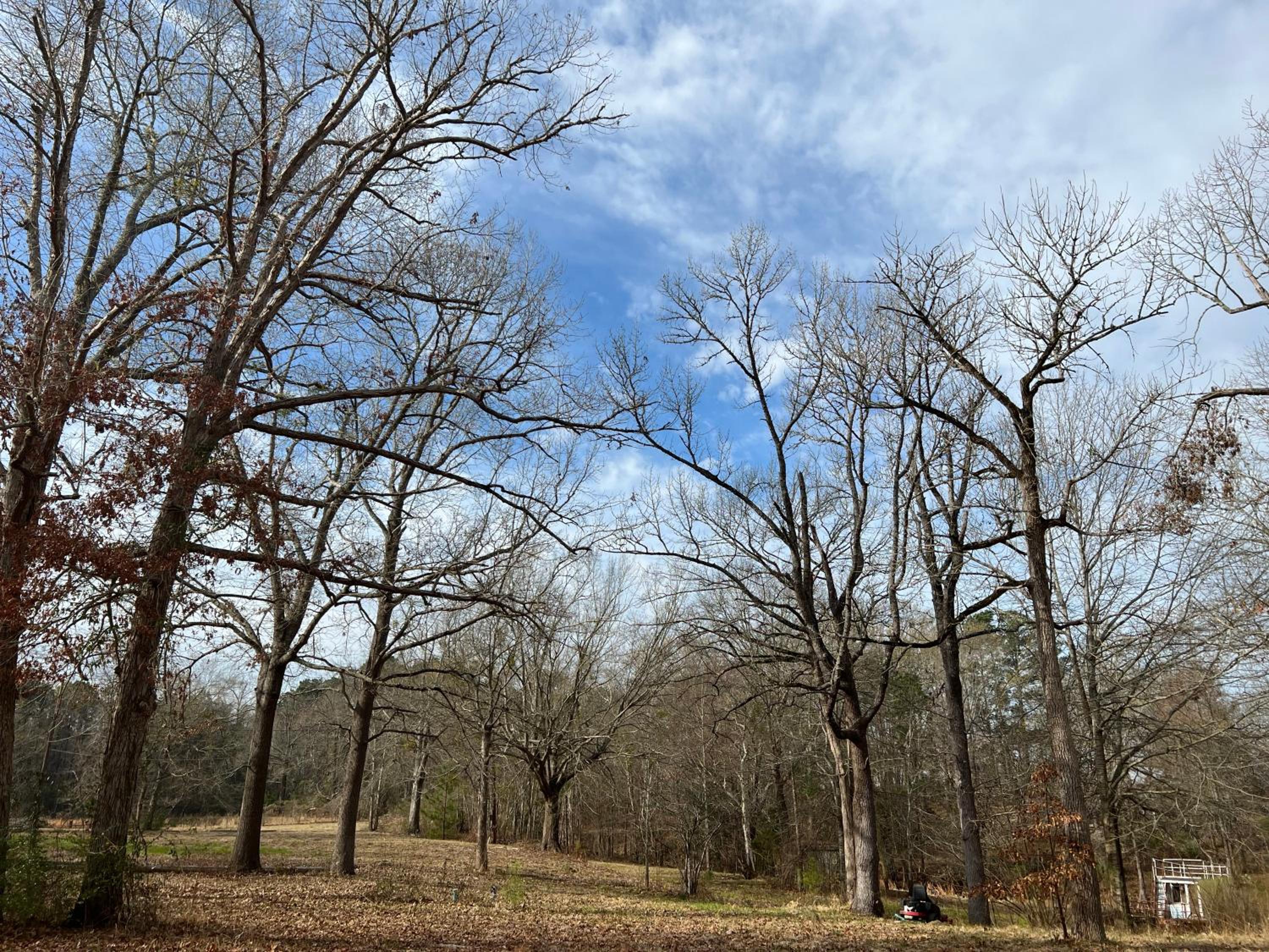 Driftwood Inn and Lodge by the lake - Property Image 65