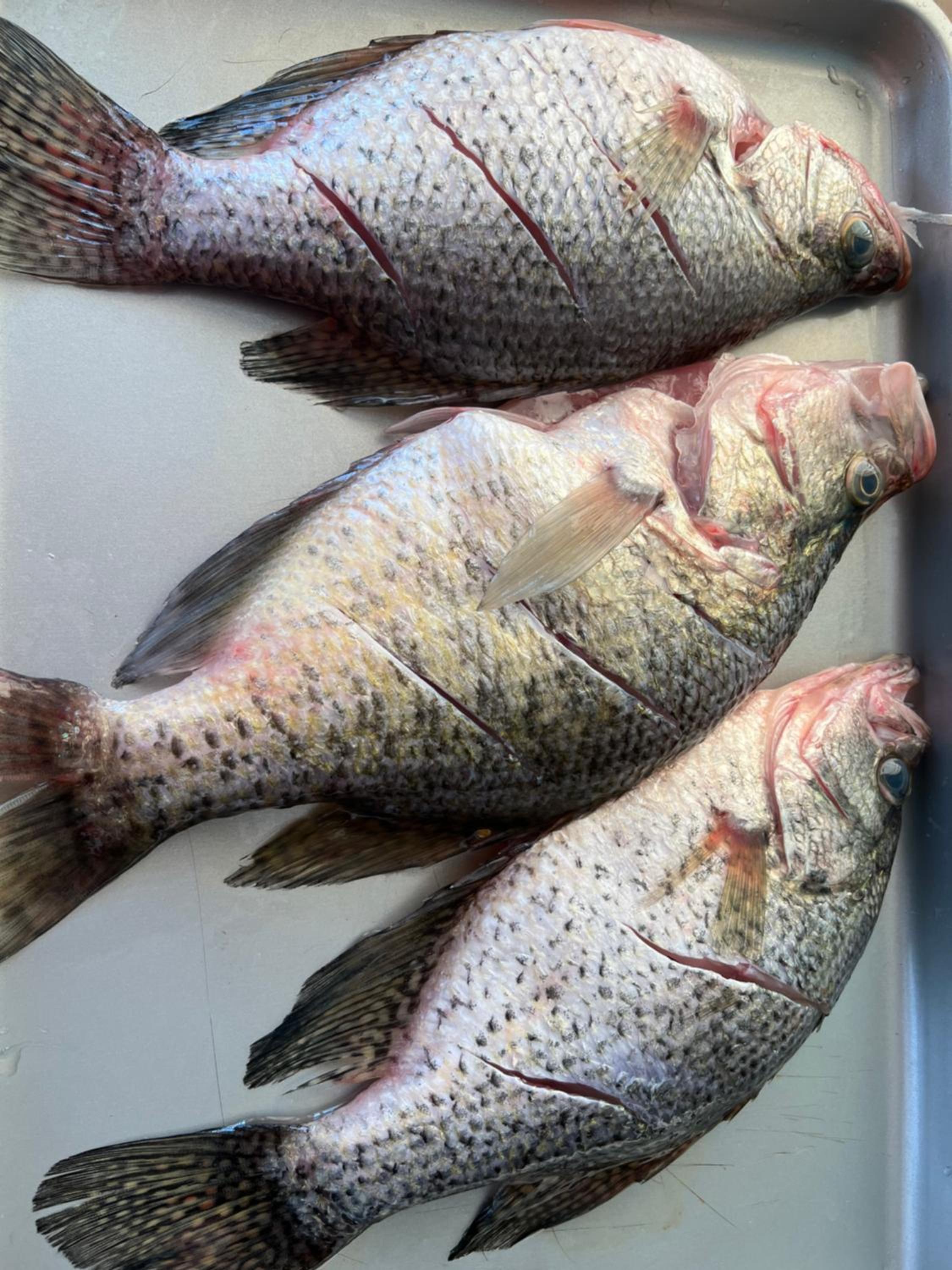 Driftwood Inn and Lodge by the lake - Property Image 15