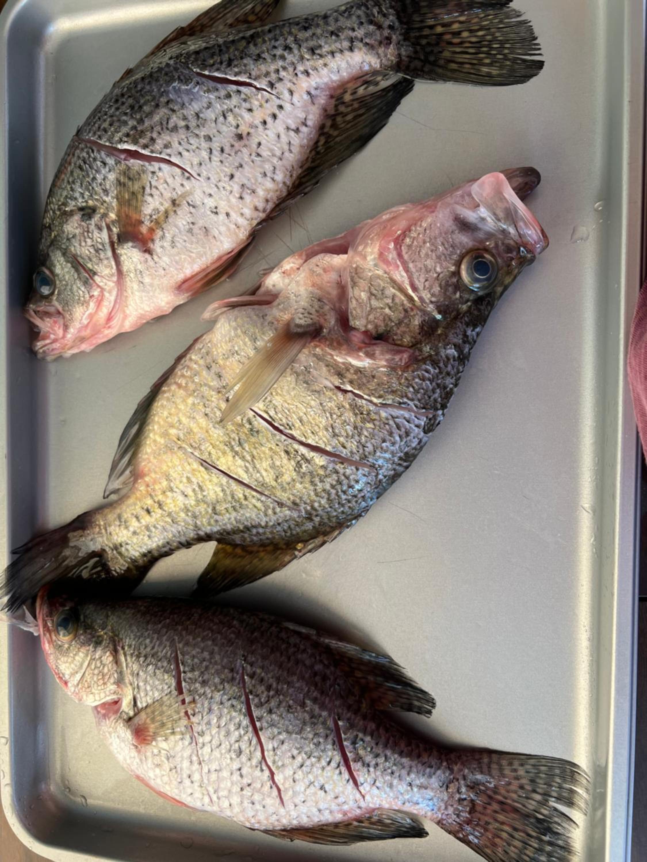 Driftwood Inn and Lodge by the lake - Property Image 58