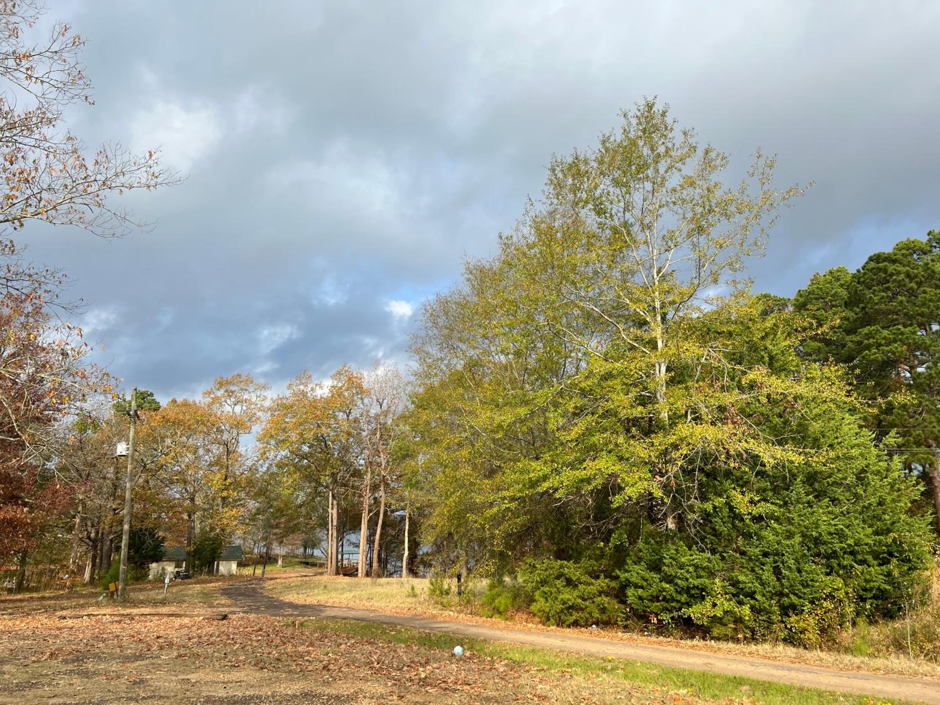 Driftwood Inn and Lodge by the lake - Property Image 51