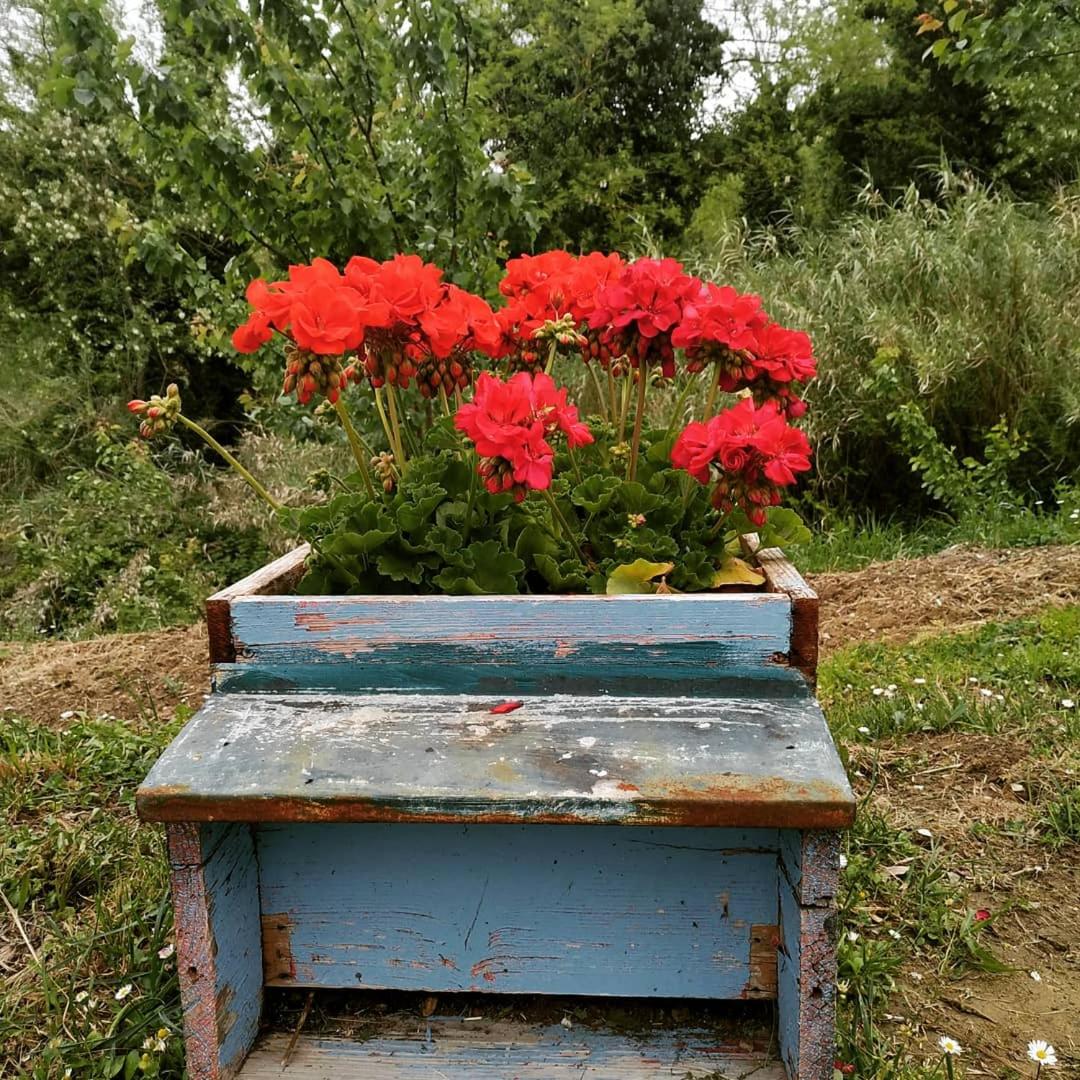 Photo 43