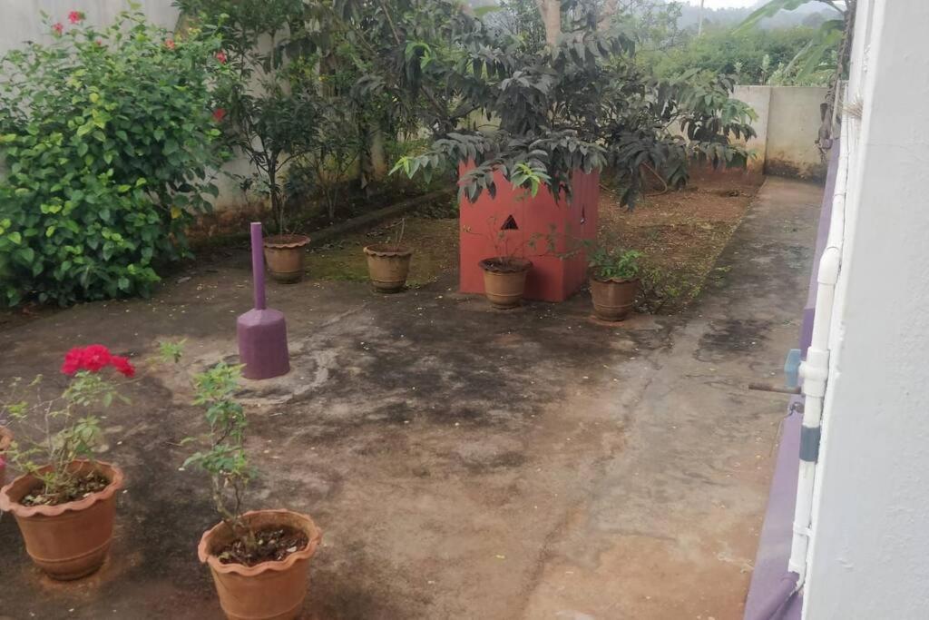 Yelagiri RAM Cottage @Home with kitchenette full view 5