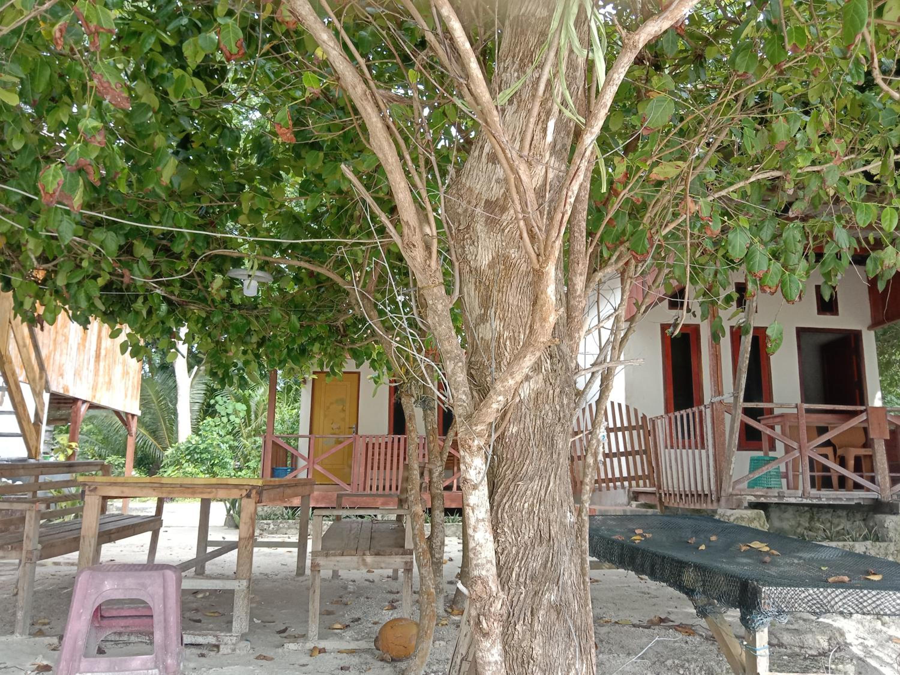Photo 44