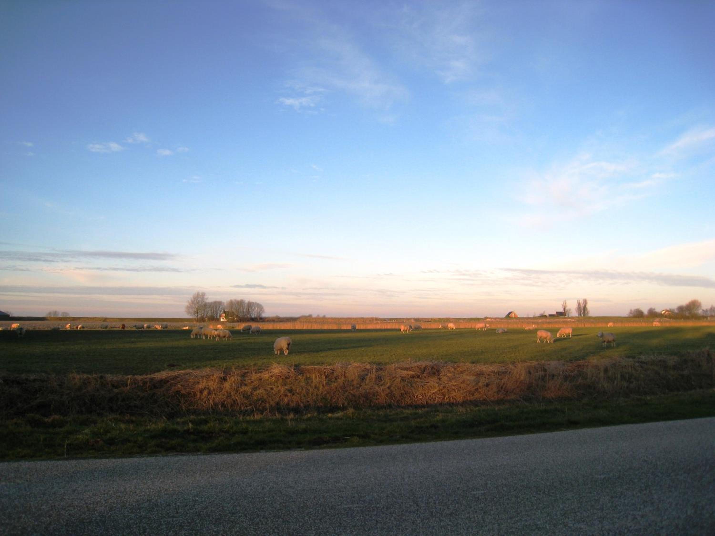 Photo 30