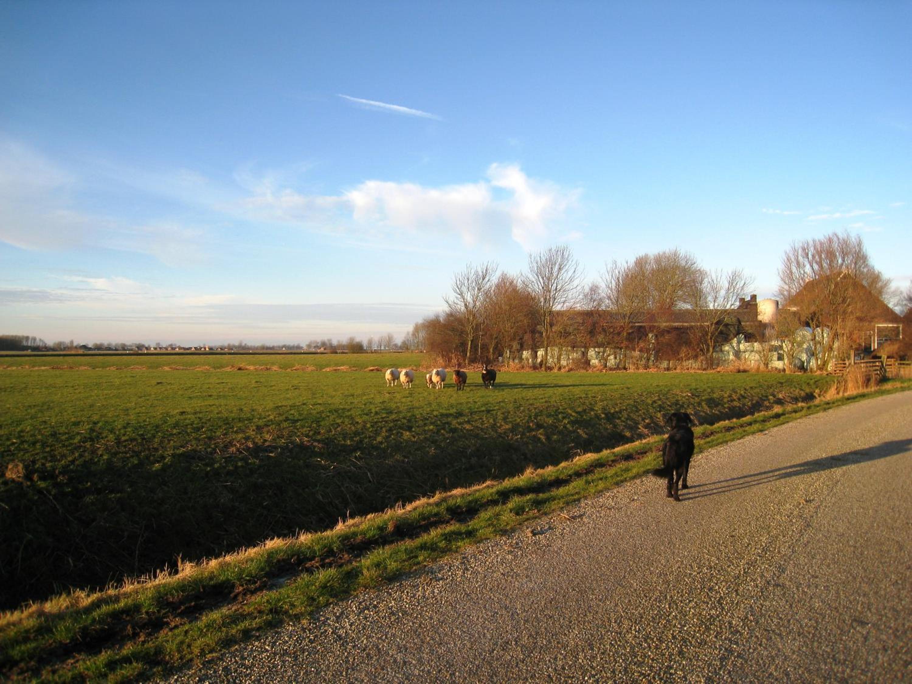 Photo 38