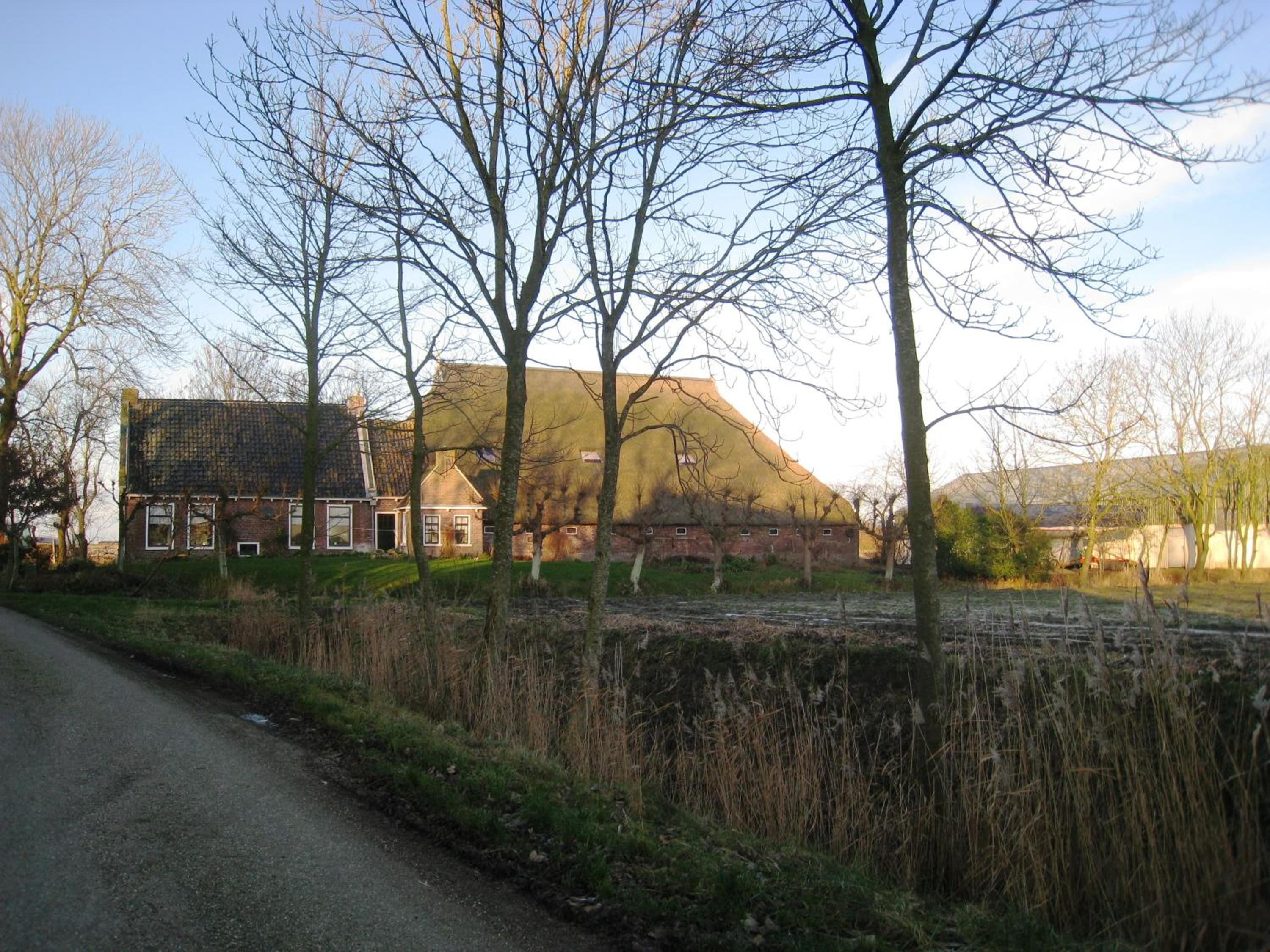 Photo 40