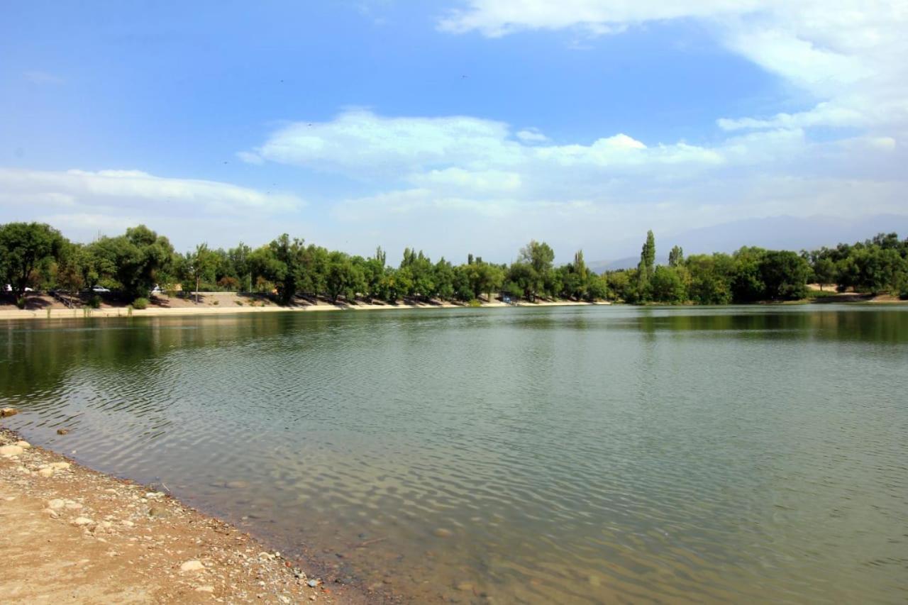 Photo 10