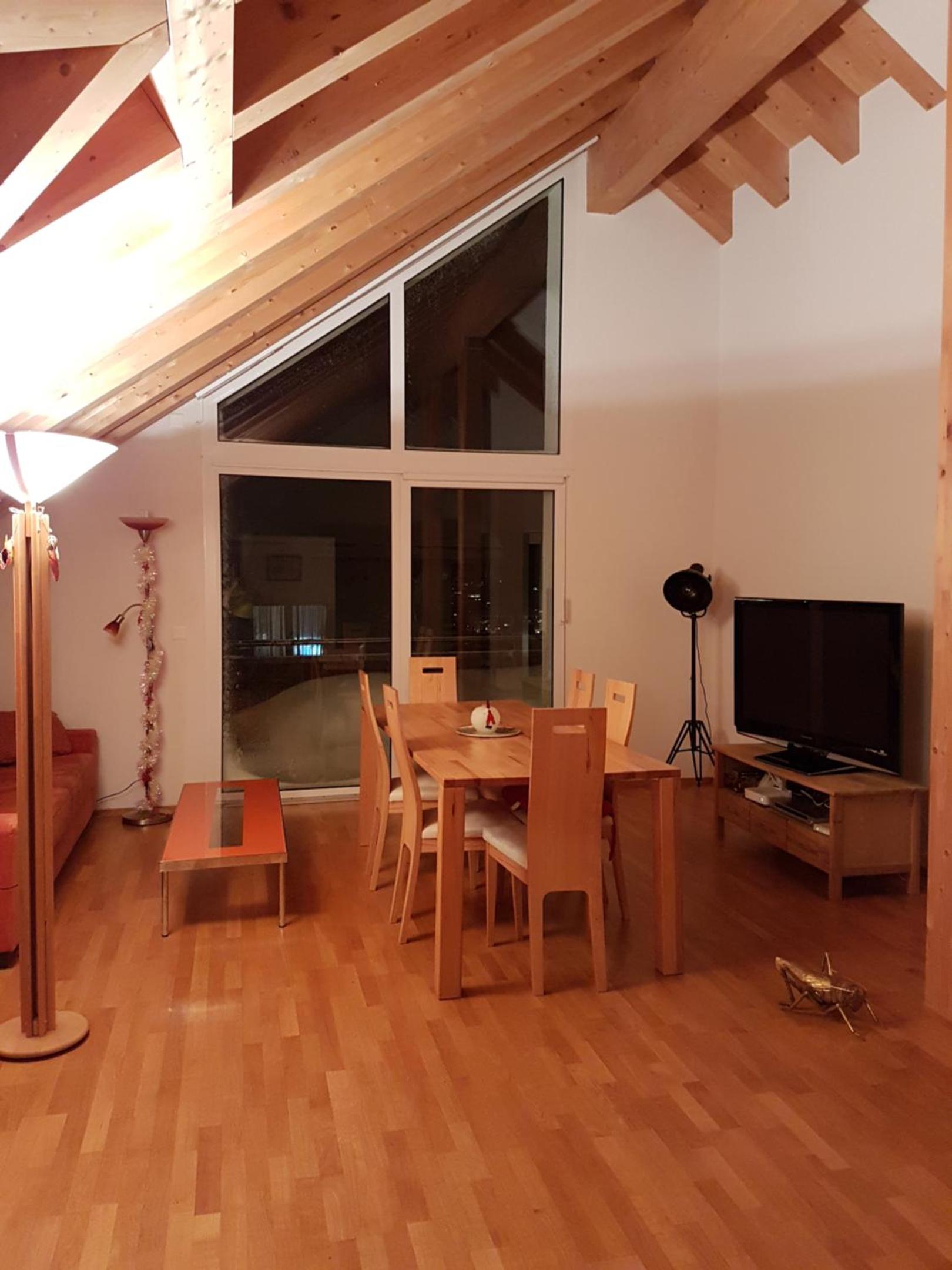 Stylish Penthouse Near Congress Center WEF